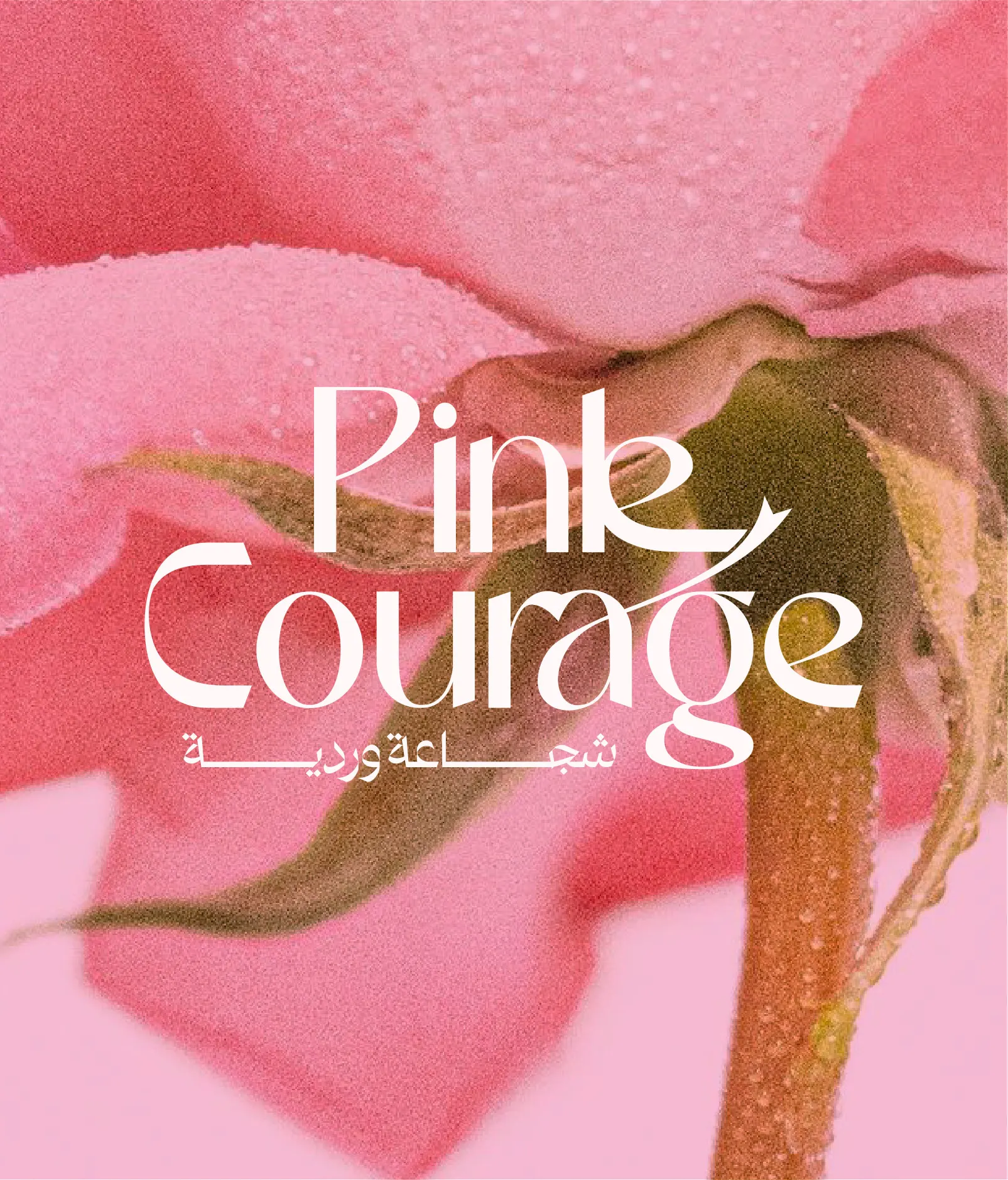 Pink Courage logo over a pink rose